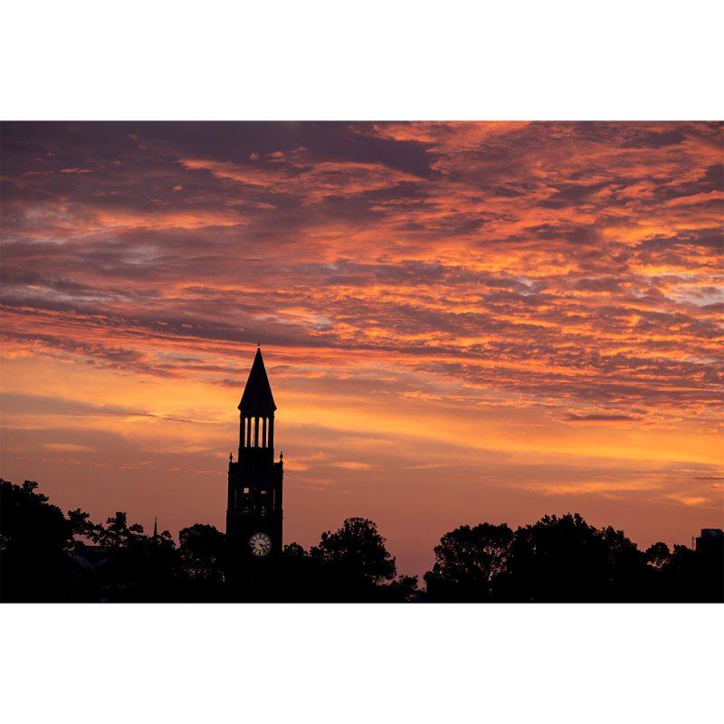 Morehead-Patterson Bell Tower on the campus of UNC-Chapel Hill at sunset